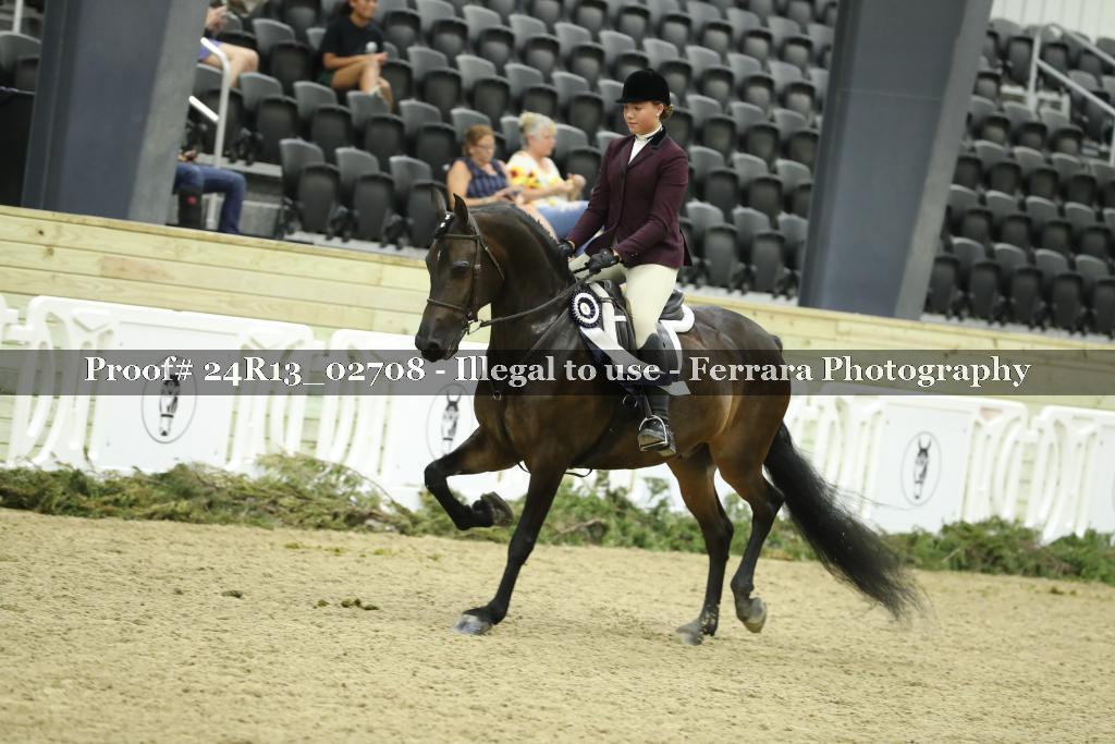 Proof Number 24R13_02708