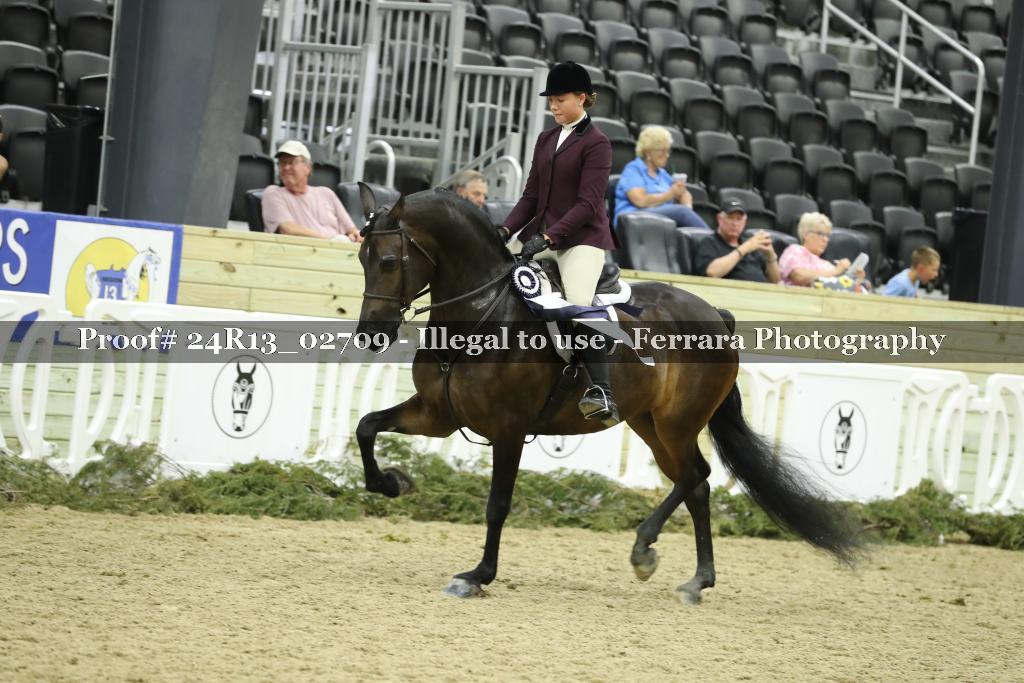 Proof Number 24R13_02709
