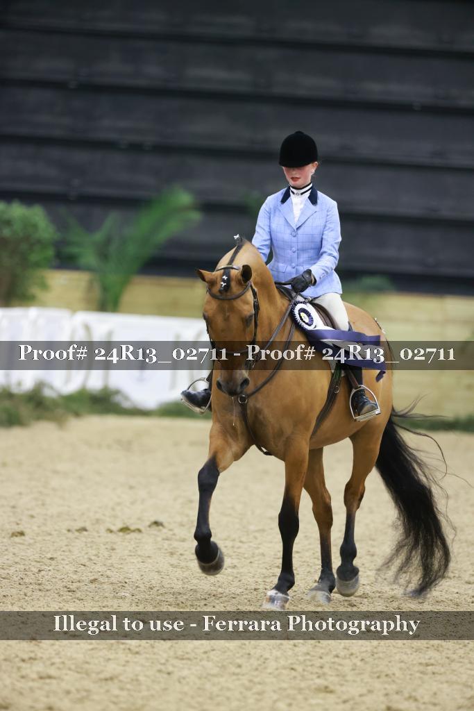 Proof Number 24R13_02711