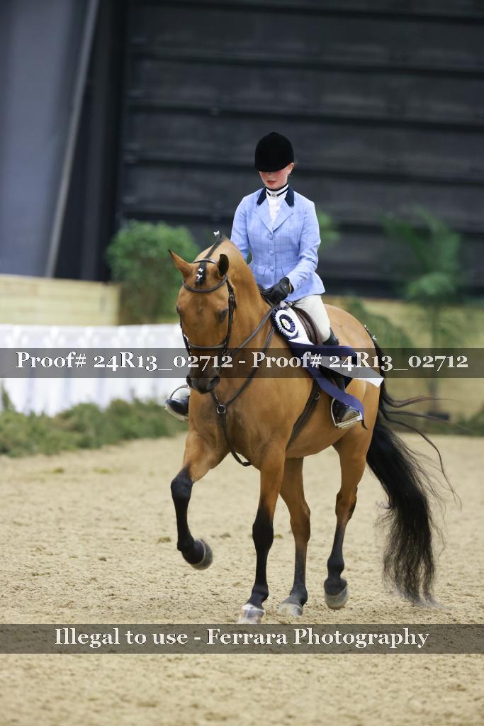 Proof Number 24R13_02712