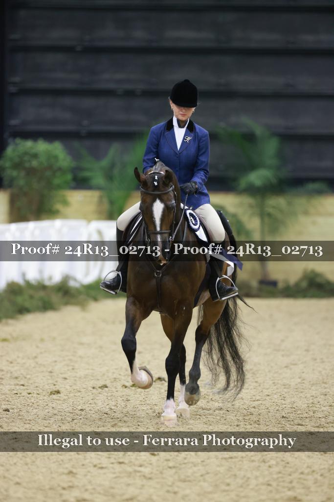 Proof Number 24R13_02713
