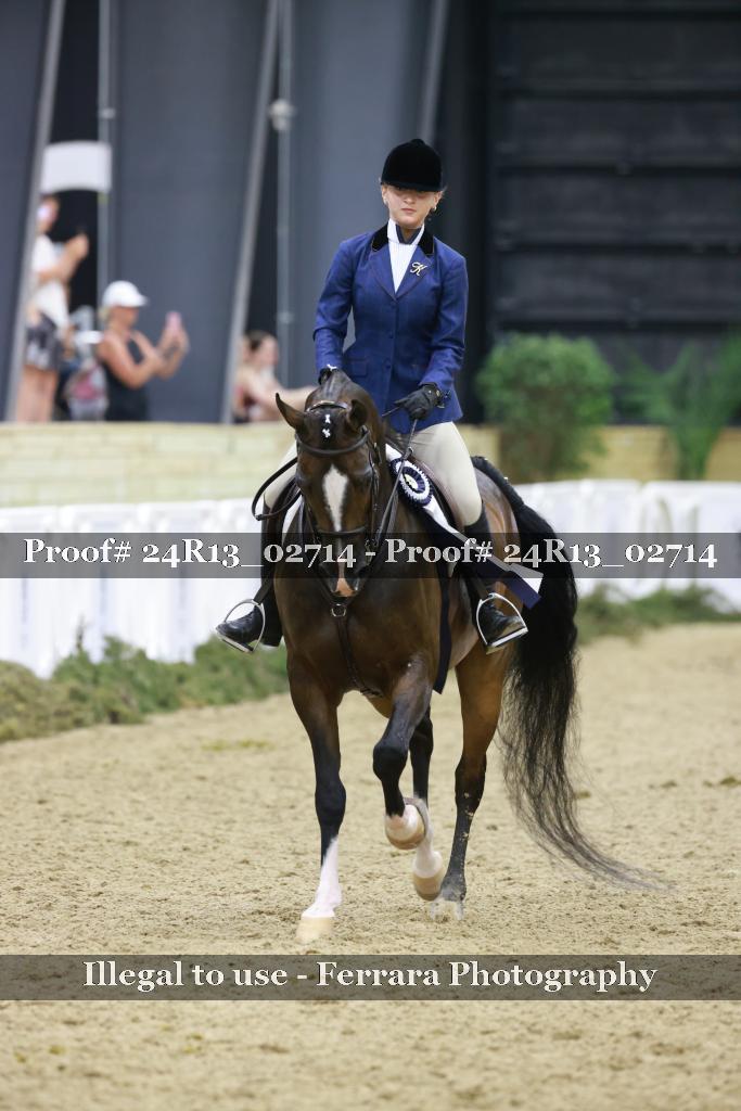 Proof Number 24R13_02714