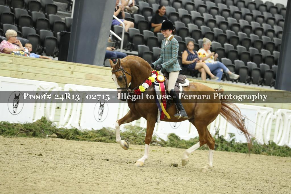 Proof Number 24R13_02715