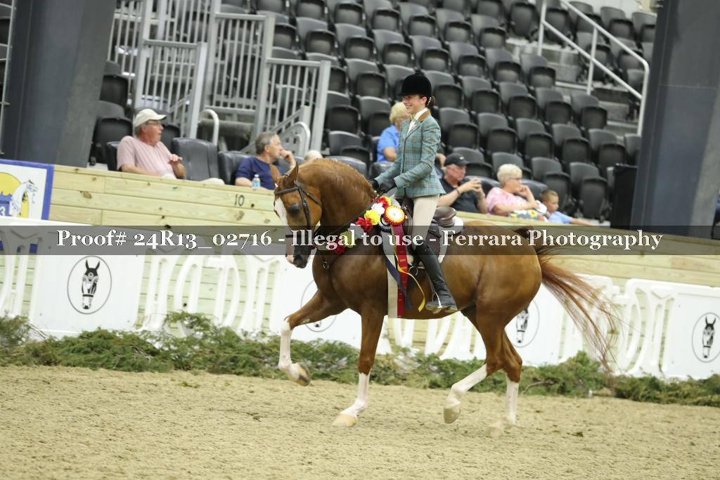 Proof Number 24R13_02716