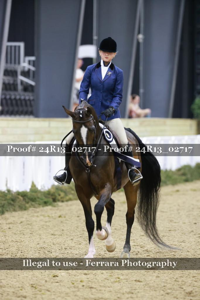Proof Number 24R13_02717