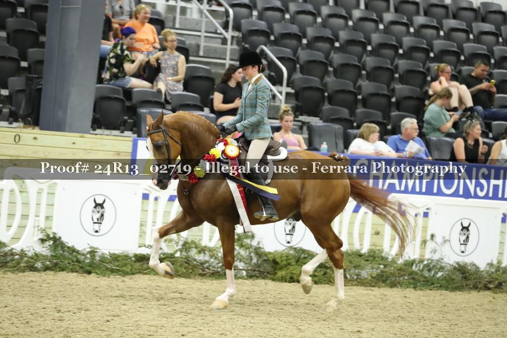 Proof Number 24R13_02719