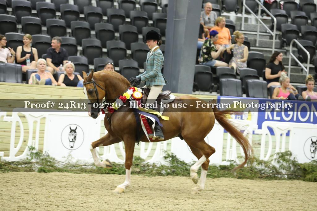Proof Number 24R13_02720