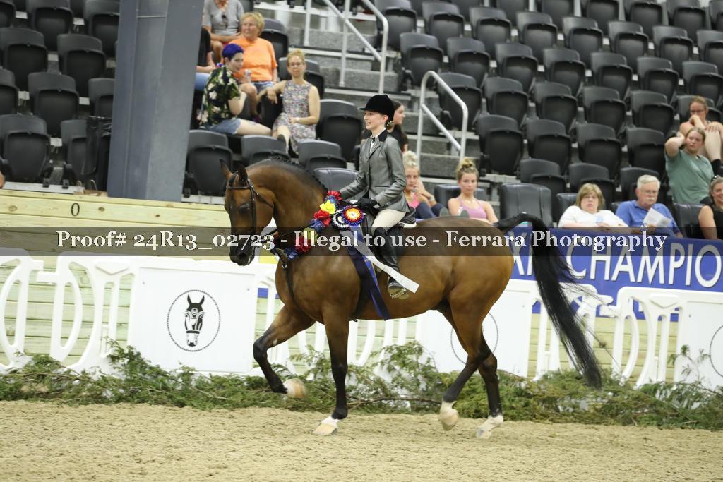 Proof Number 24R13_02723