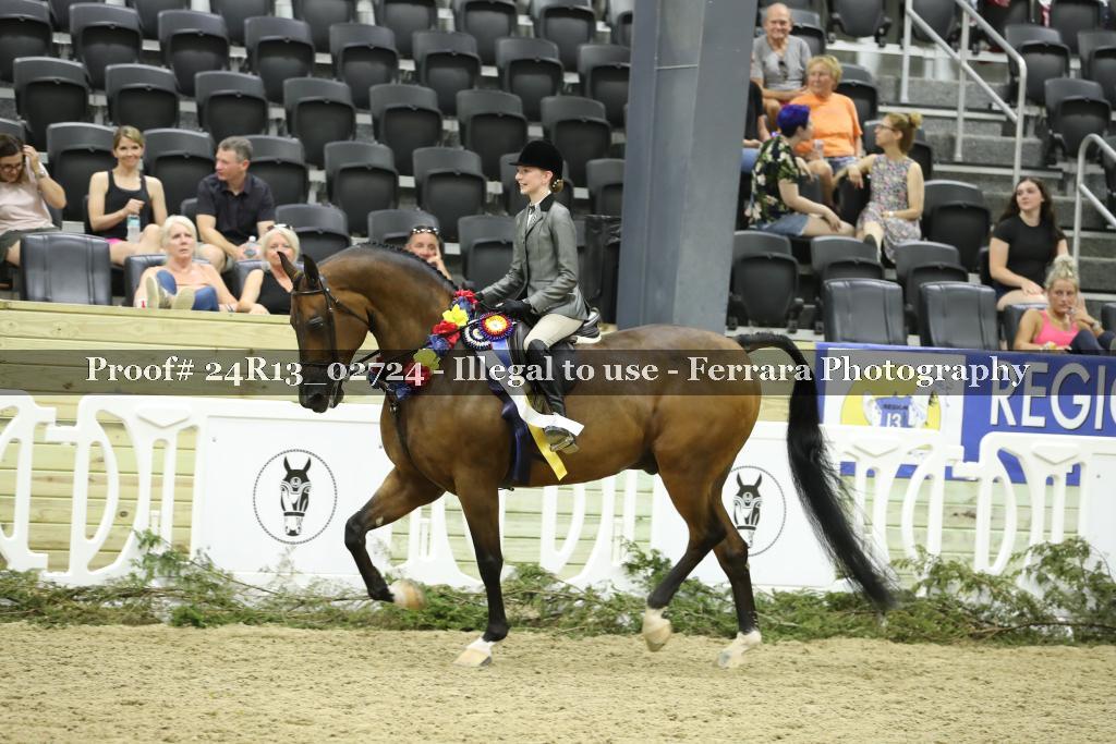 Proof Number 24R13_02724
