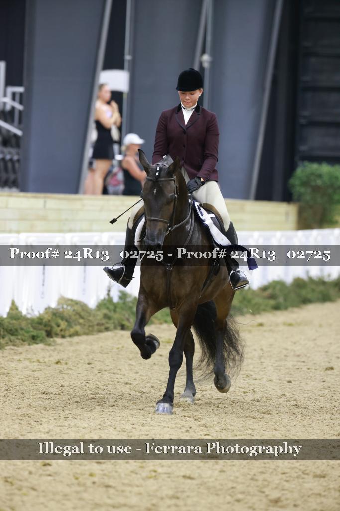 Proof Number 24R13_02725