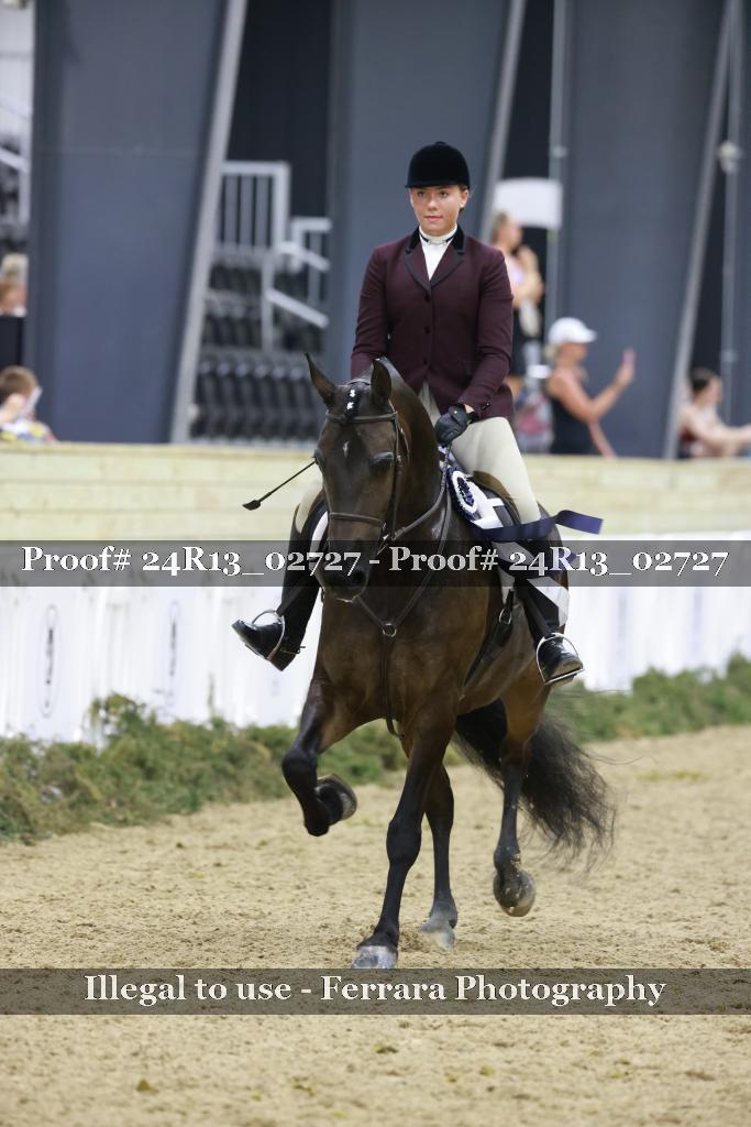 Proof Number 24R13_02727