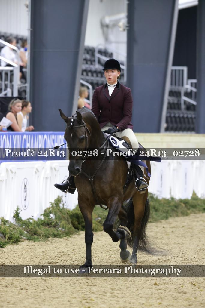 Proof Number 24R13_02728