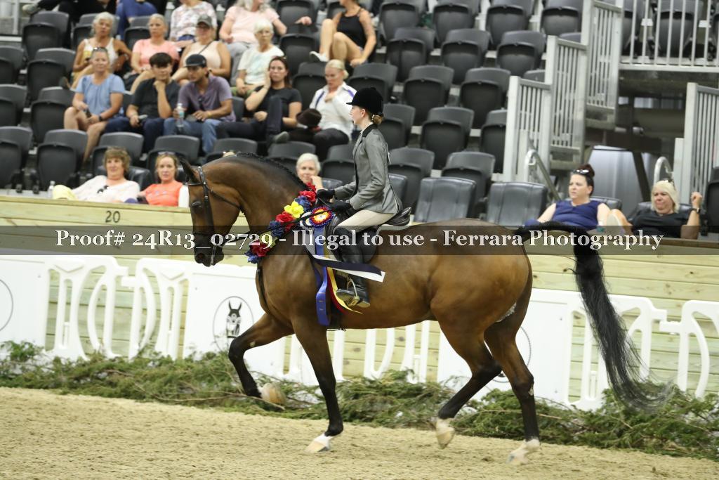 Proof Number 24R13_02729