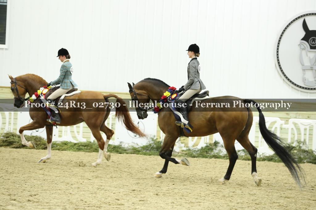 Proof Number 24R13_02730