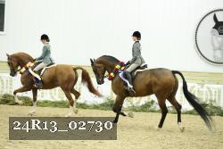 24R13_02730 thumbnail