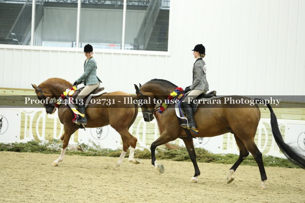 Proof Number 24R13_02731