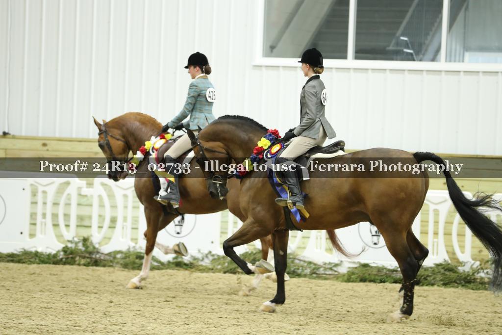 Proof Number 24R13_02733