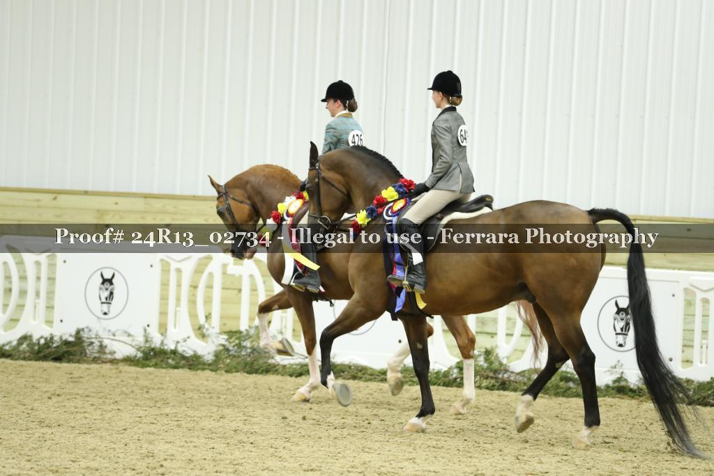 Proof Number 24R13_02734