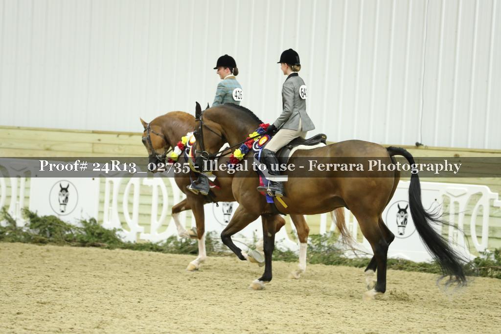 Proof Number 24R13_02735