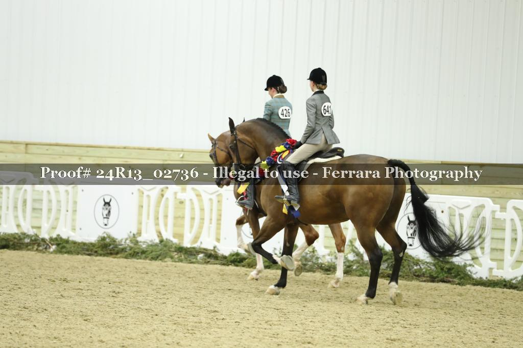 Proof Number 24R13_02736