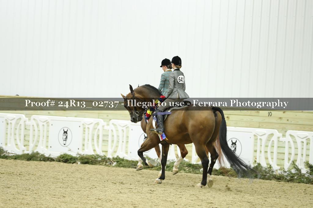 Proof Number 24R13_02737