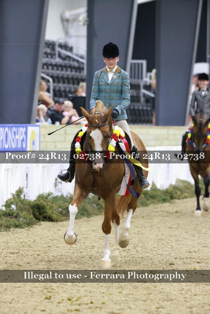Proof Number 24R13_02738