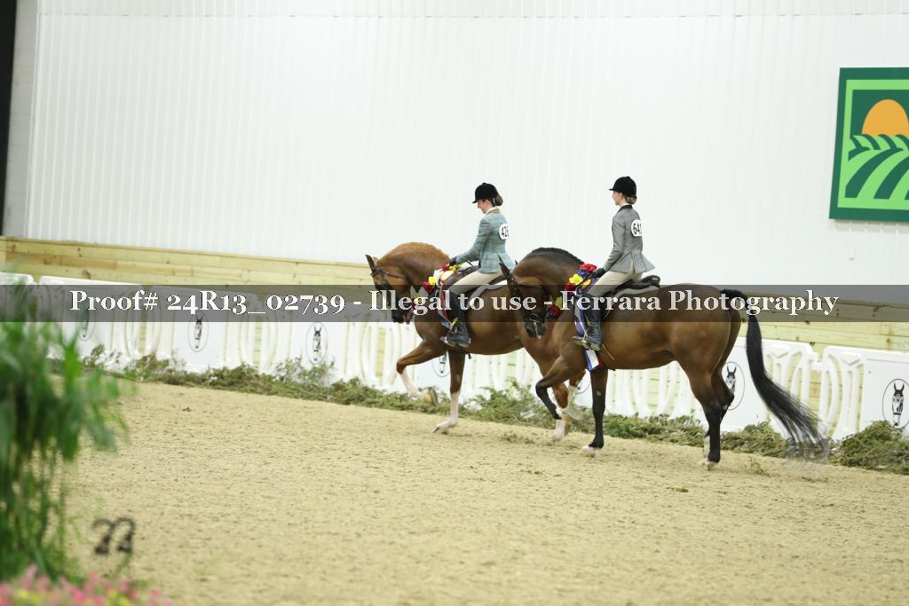Proof Number 24R13_02739