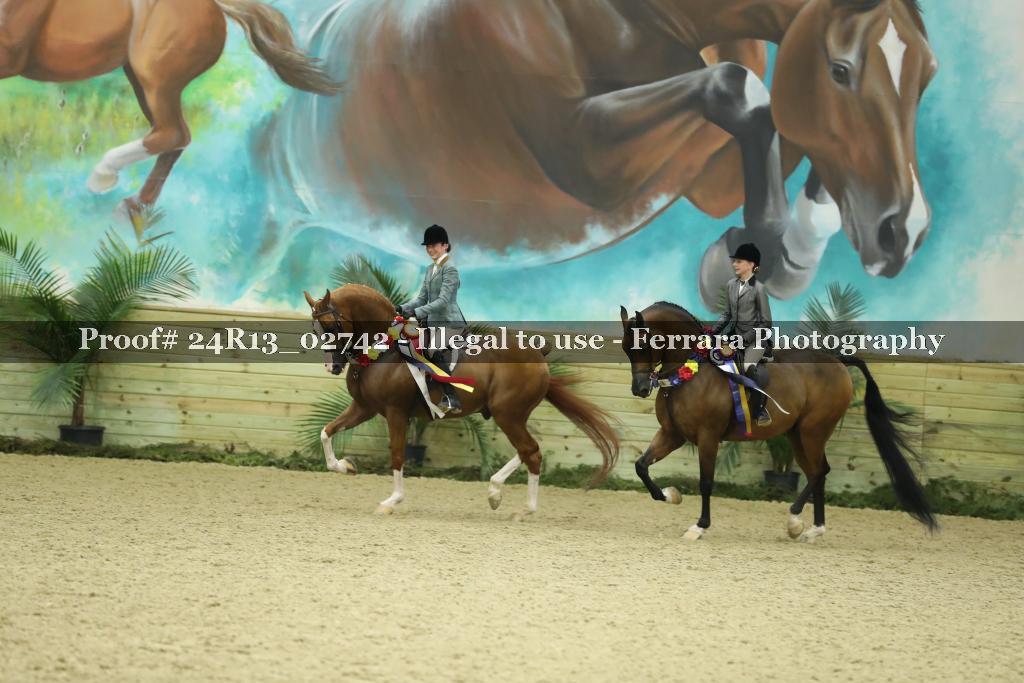 Proof Number 24R13_02742