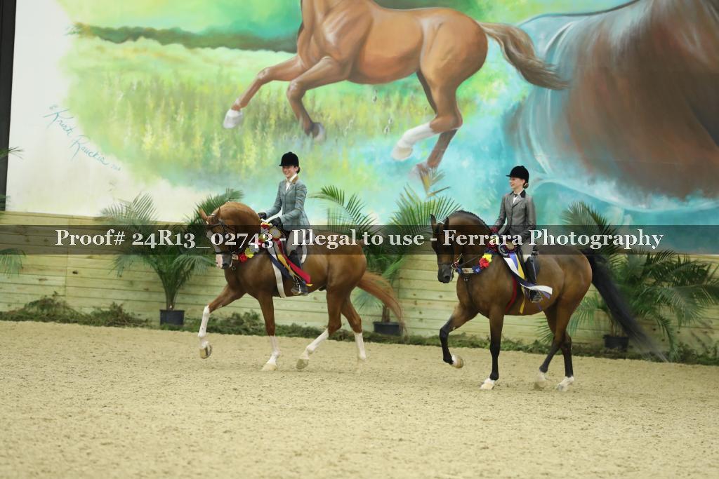 Proof Number 24R13_02743