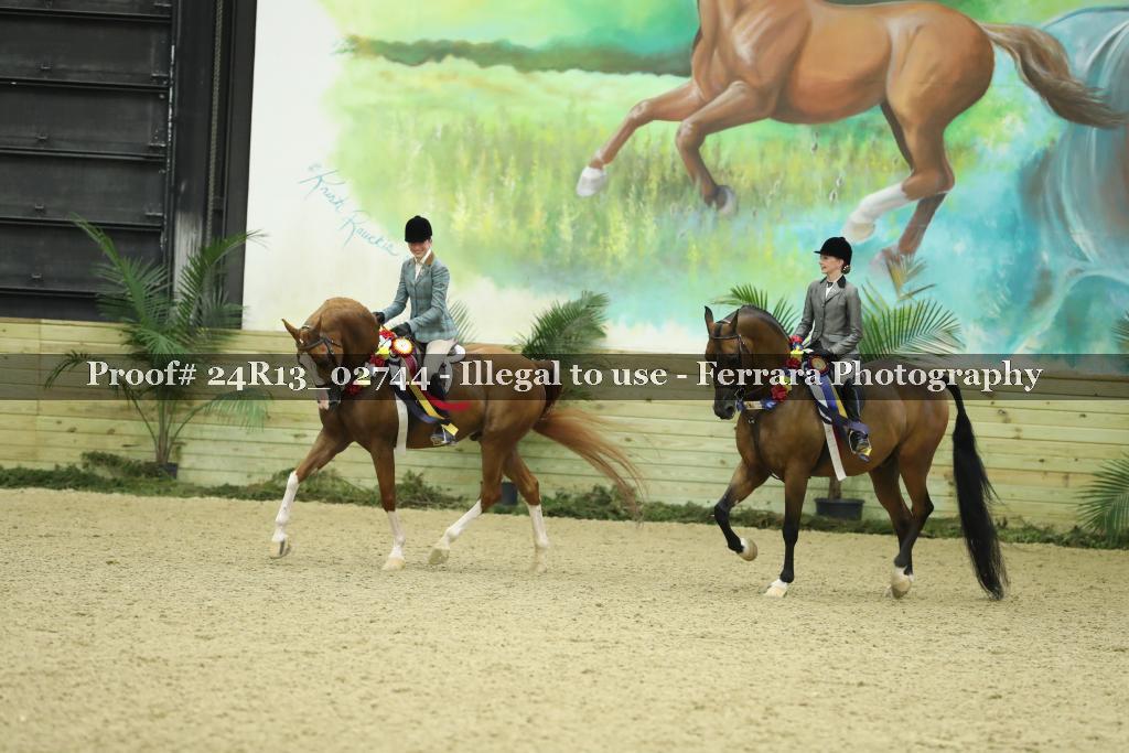 Proof Number 24R13_02744