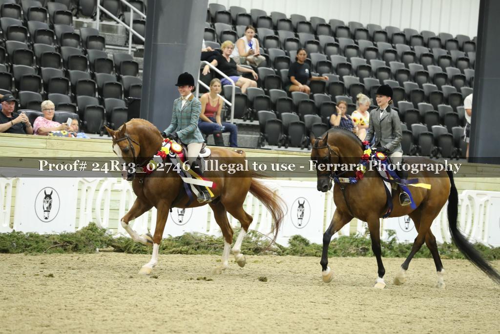 Proof Number 24R13_02746