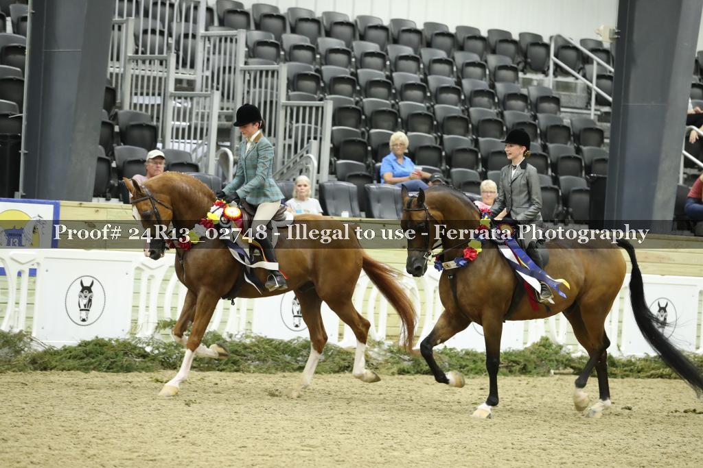Proof Number 24R13_02748