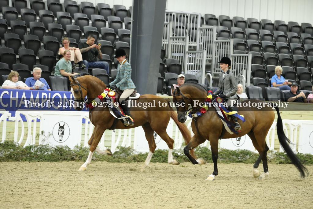 Proof Number 24R13_02749