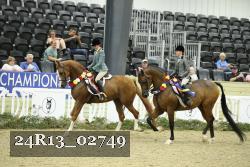 24R13_02749 thumbnail