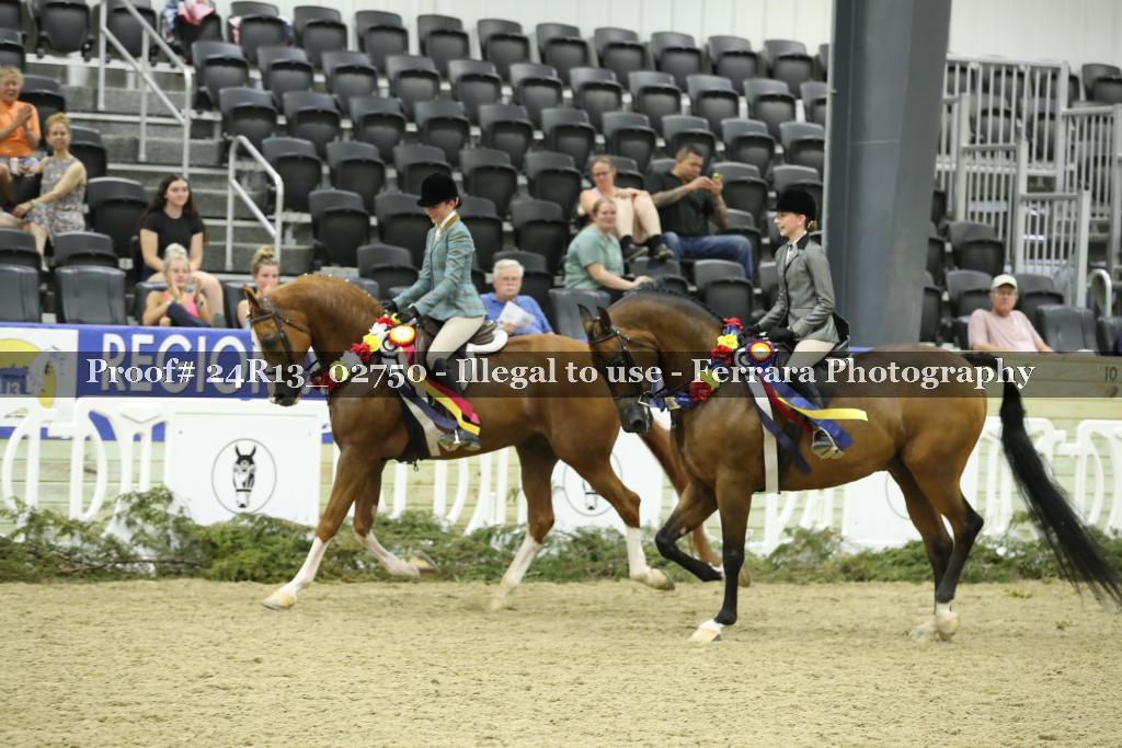 Proof Number 24R13_02750
