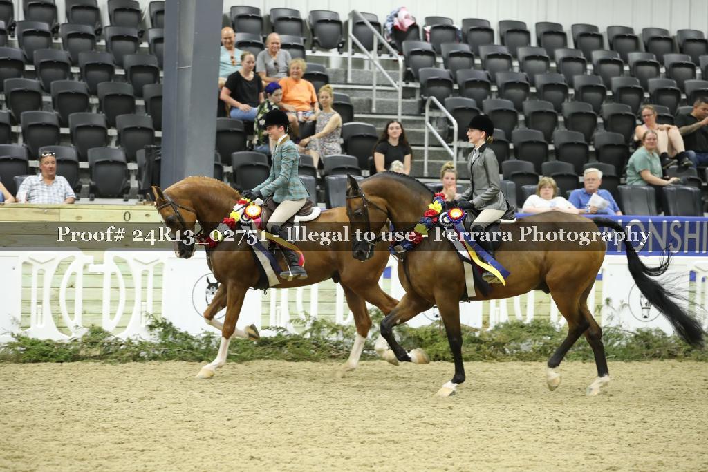 Proof Number 24R13_02751