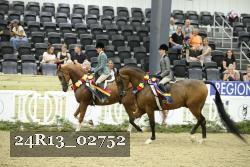 24R13_02752 thumbnail