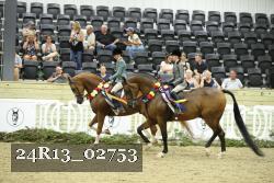 24R13_02753 thumbnail