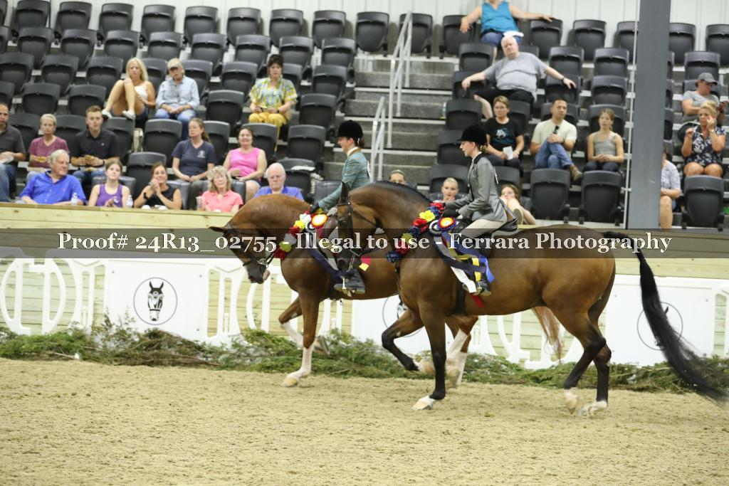 Proof Number 24R13_02755