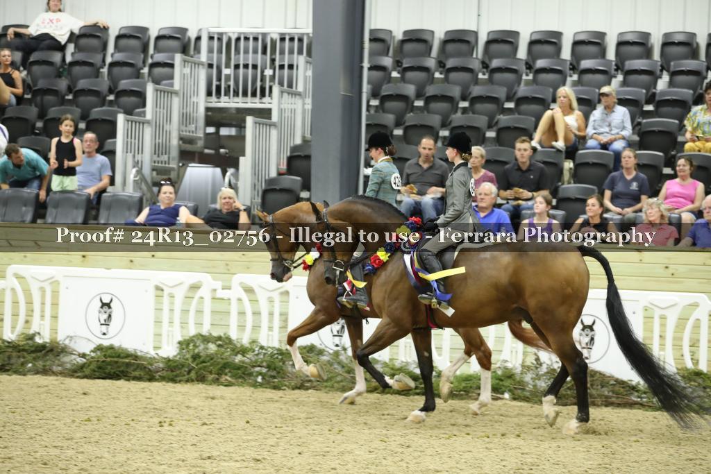 Proof Number 24R13_02756