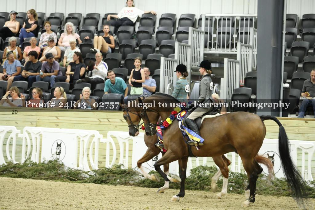 Proof Number 24R13_02757