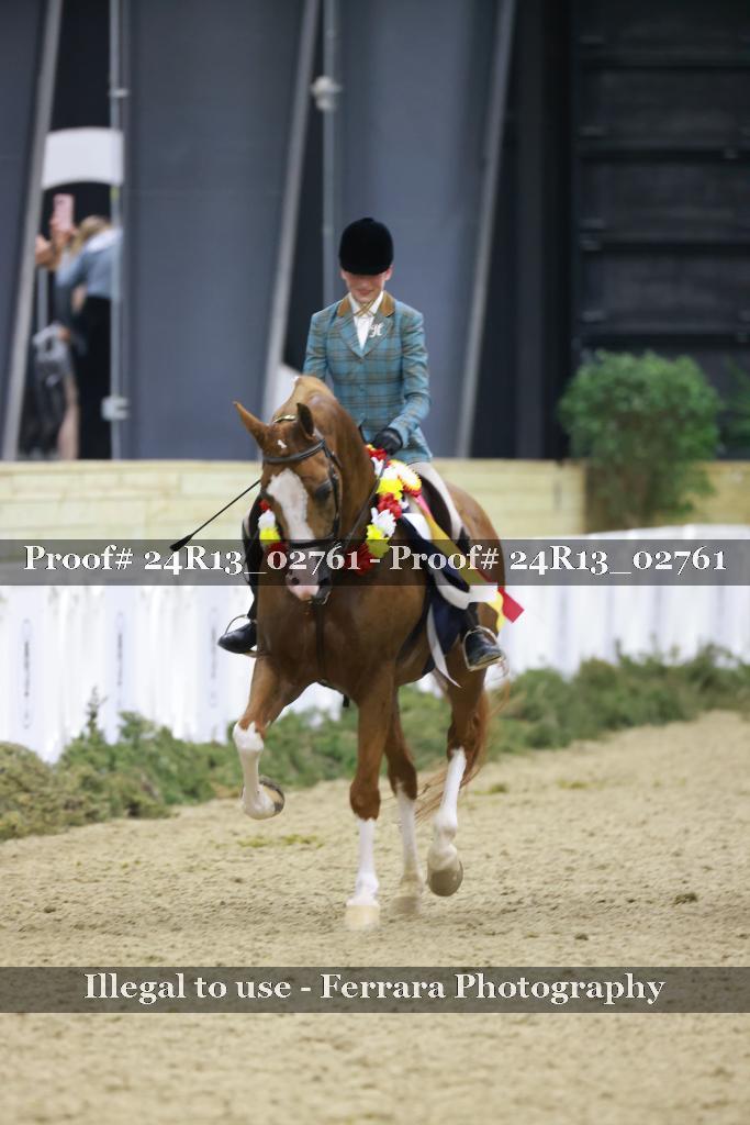 Proof Number 24R13_02761