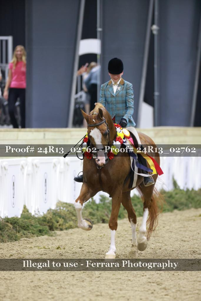 Proof Number 24R13_02762