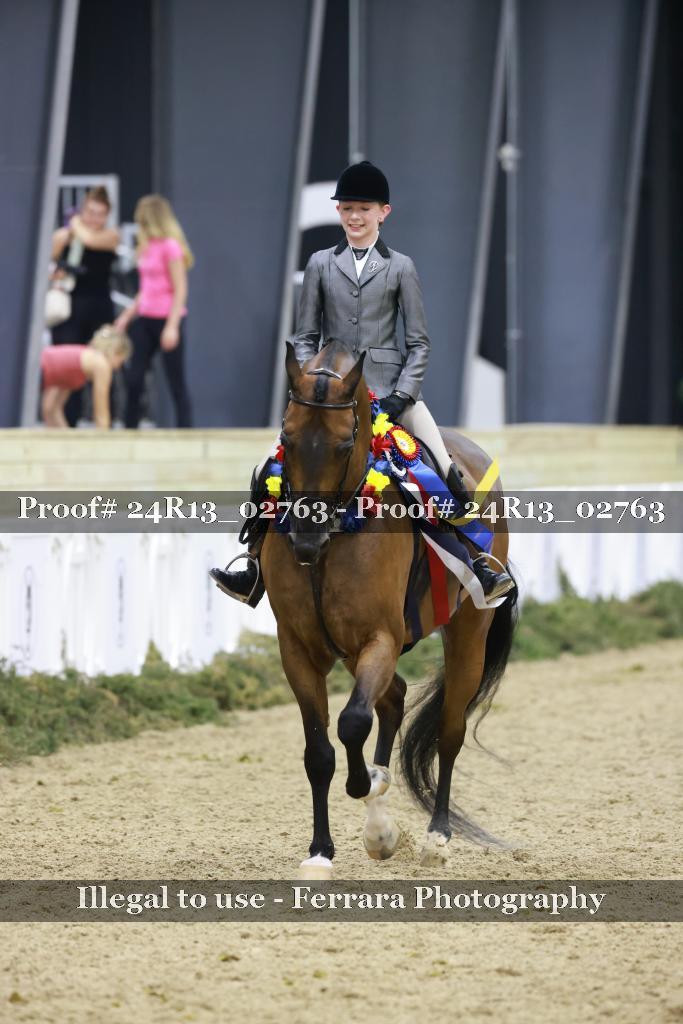 Proof Number 24R13_02763