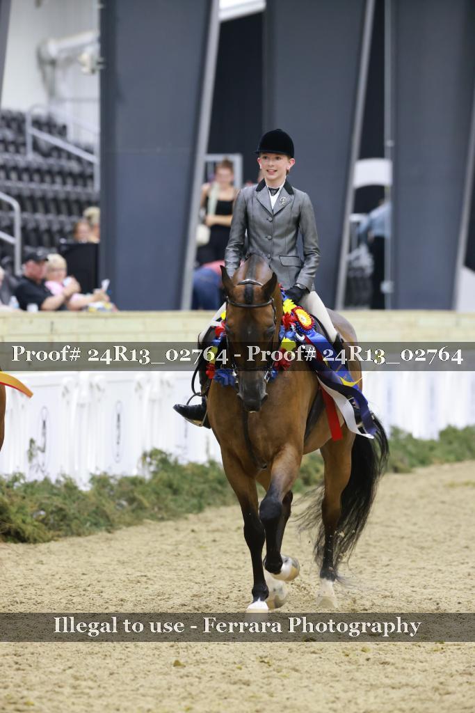 Proof Number 24R13_02764