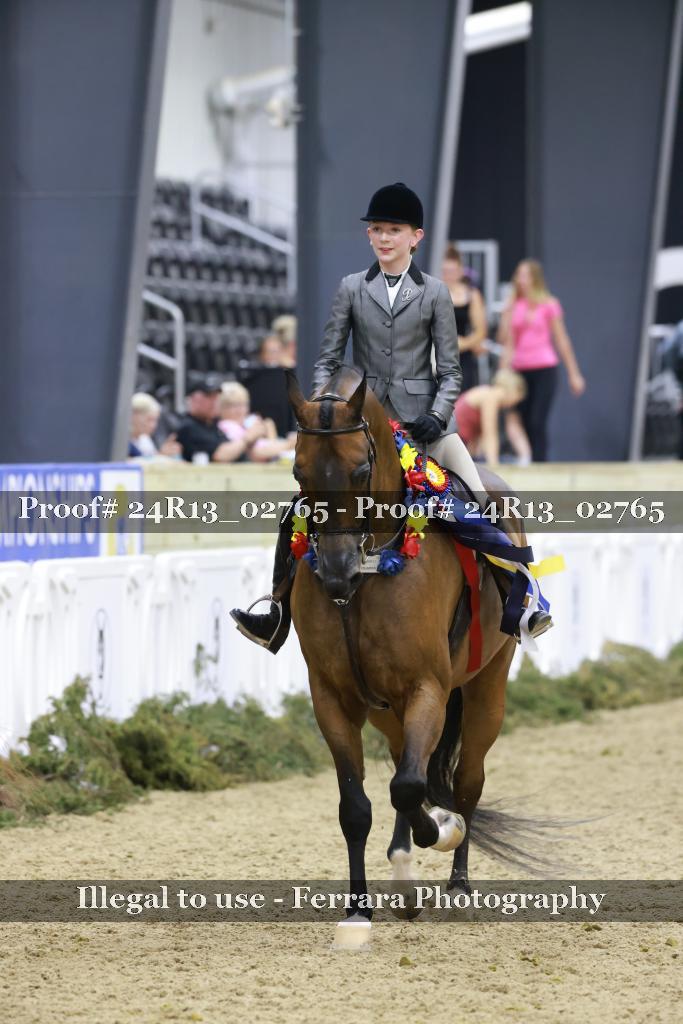 Proof Number 24R13_02765