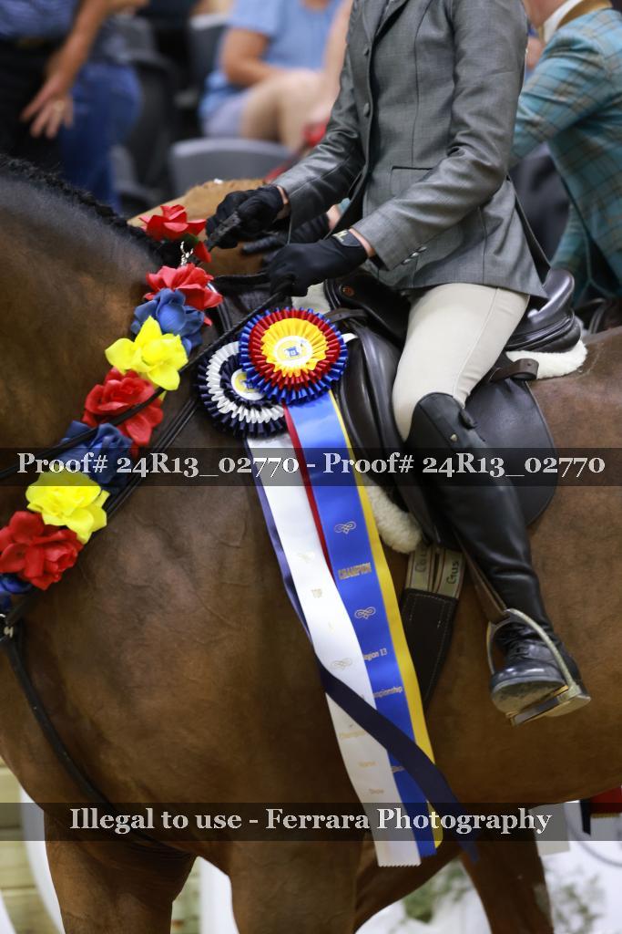 Proof Number 24R13_02770