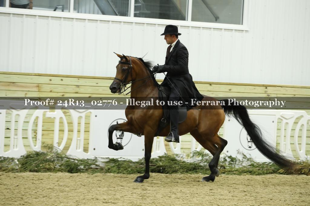 Proof Number 24R13_02776