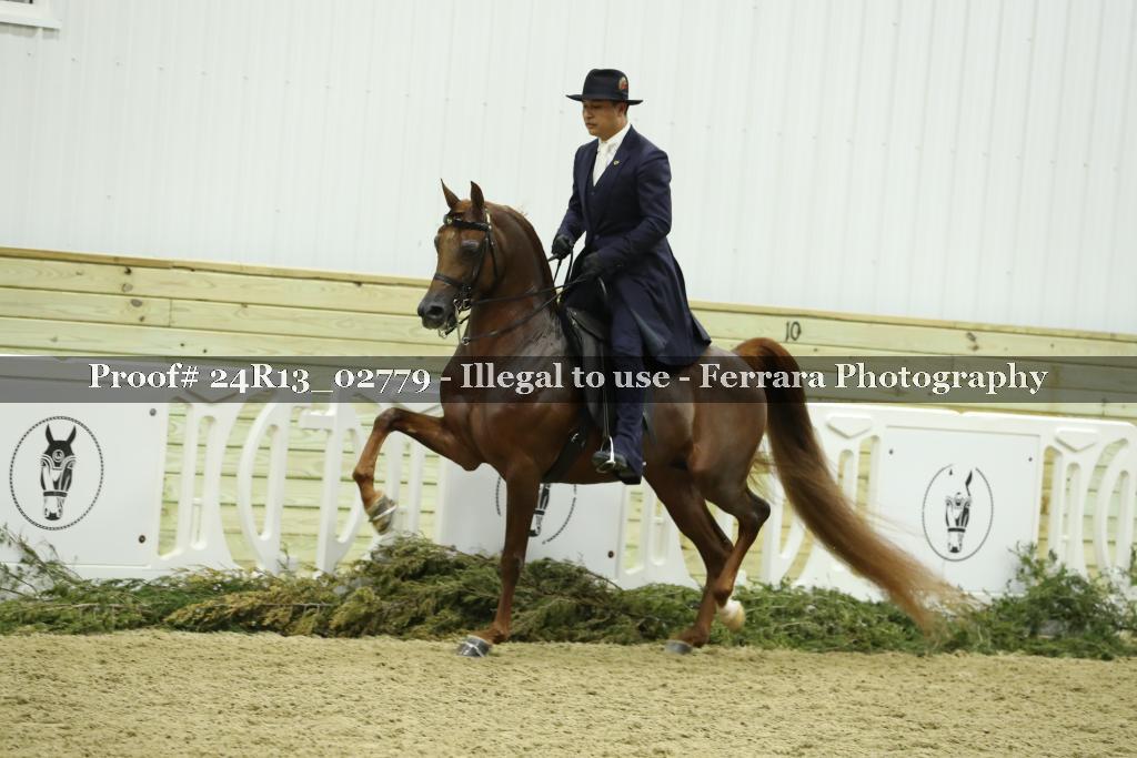 Proof Number 24R13_02779