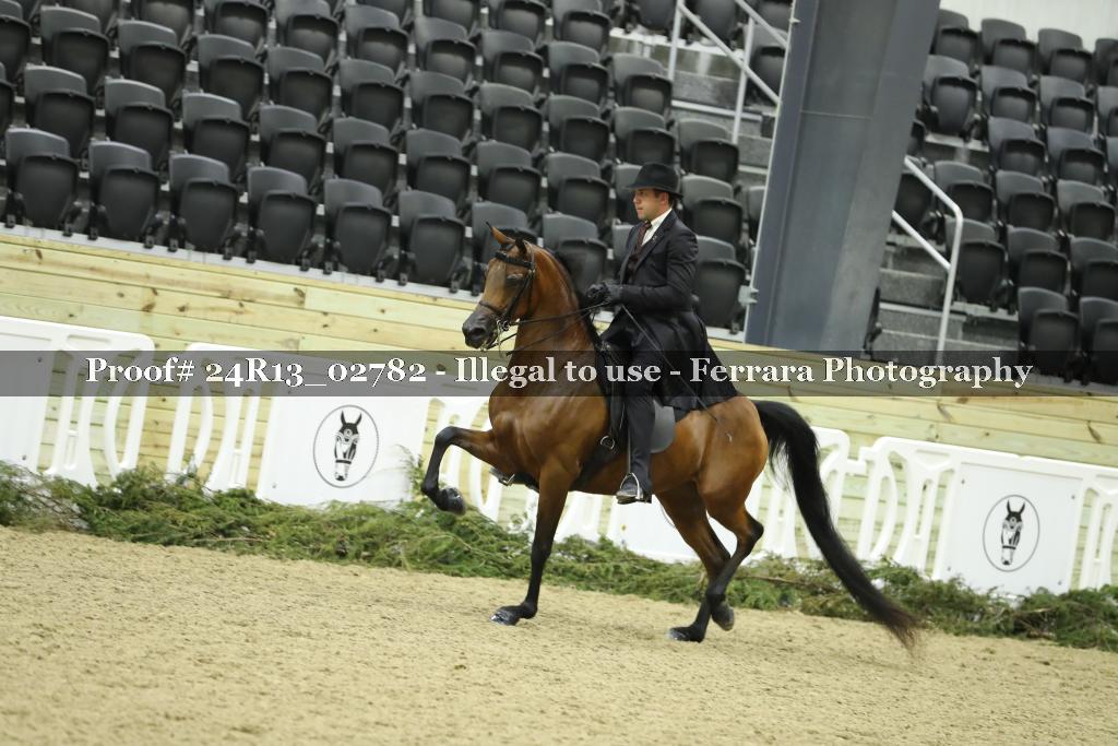 Proof Number 24R13_02782